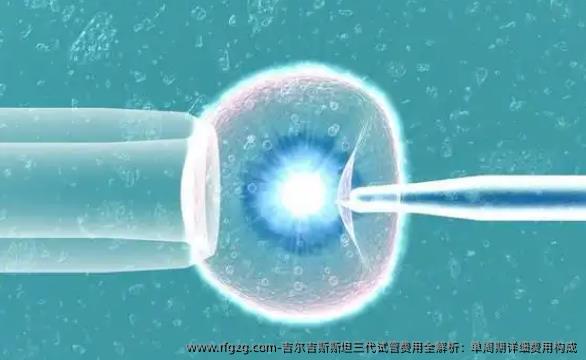 吉尔吉斯斯坦三代试管费用全解析：单周期详细费用构成