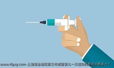 上海瑞金医院第三代代孕初次成功的费用大概多少？