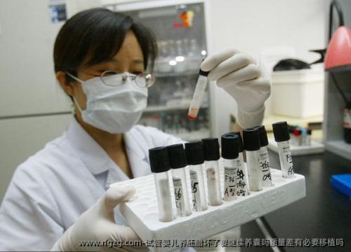 代孕养胚胎坏了要继续养囊吗质量差有必要移植吗