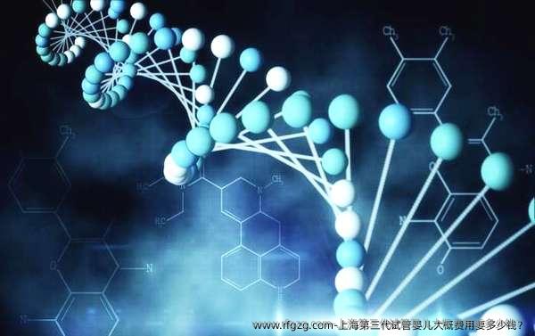 上海第三代代孕大概费用要多少钱？