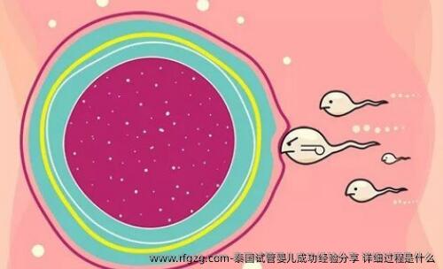 泰国代孕成功经验分享 详细过程是什么