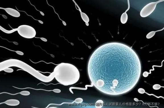 国内私人代孕价格是多少？8万够不够？