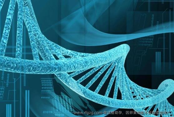 做试管助孕，因卵巢功能不好能成功吗？ 