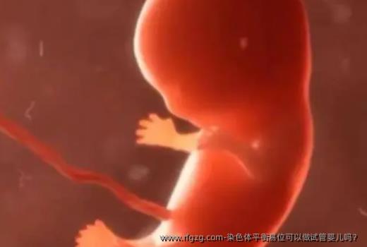 染色体平衡易位可以做代孕吗？