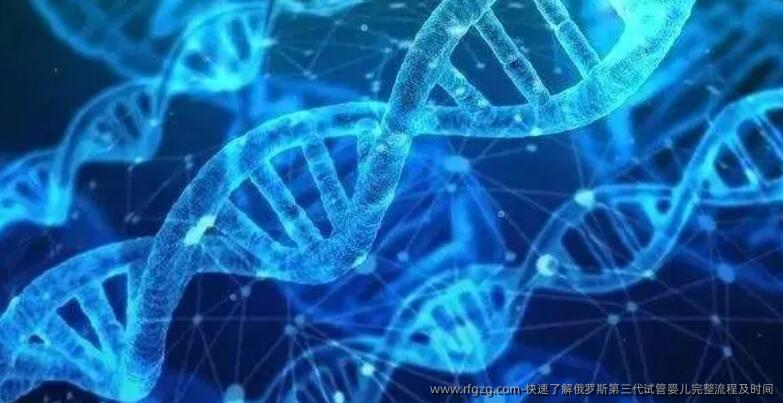 快速了解俄罗斯第三代代孕完整流程及时间