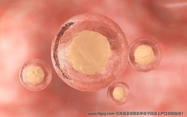 马来西亚试管助孕孩子回国上户口攻略指南？