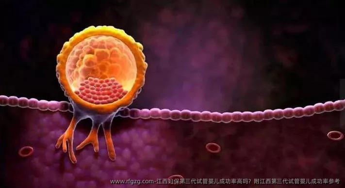 江西妇保第三代代孕成功率高吗？附江西第三代代孕成功率参考