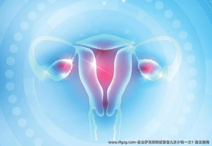 去哈萨克斯坦代孕多少钱一次？真实费用
