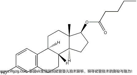 泰国ek生殖医院代孕技术解析，探寻试管技术的奥秘与魅力！