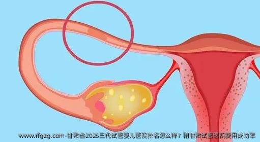 甘肃省2025三代代孕医院排名怎么样？附甘肃试管医院费用成功率
