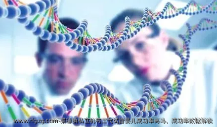 景德镇私立机构三代代孕成功率高吗，成功率数据解读