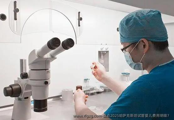 盘点2025哈萨克斯坦代孕费用明细？