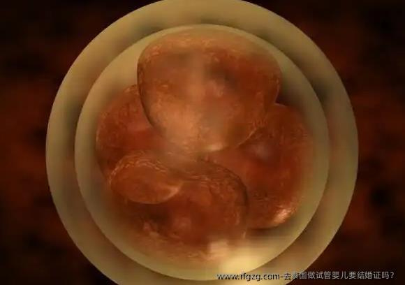 去泰国做代孕要结婚证吗？