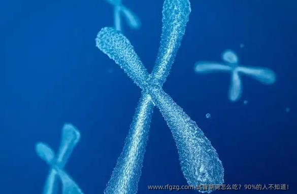试管期间怎么吃？90%的人不知道！