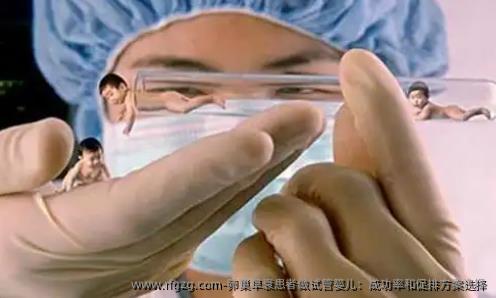 卵巢早衰患者做代孕：成功率和促排方案选择