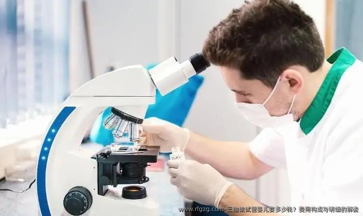 三胎做代孕要多少钱？费用构成与明细的解读