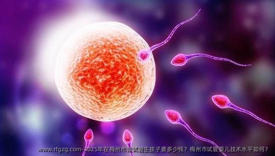 2025年在梅州市做试管生孩子要多少钱？梅州市代孕技术水平如何？