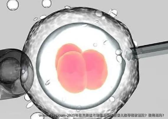 2025年在共青城市做第三代代孕推荐哪家医院？费用高吗？