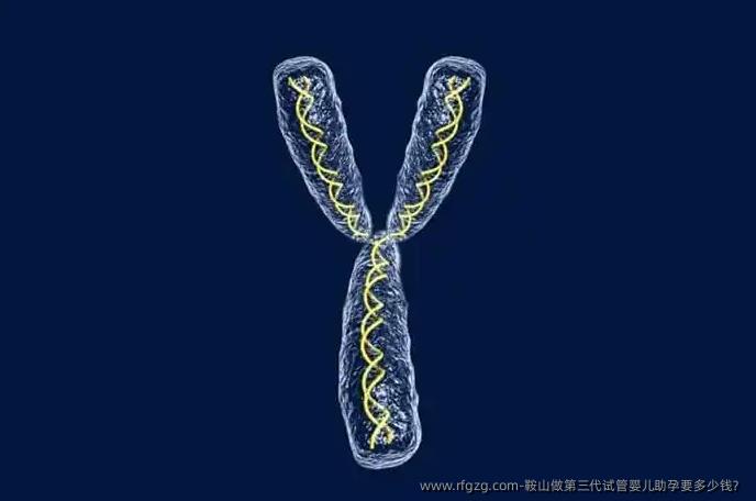 鞍山做第三代代孕助孕要多少钱？