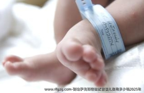 到哈萨克斯坦做代孕费用多少钱2025年