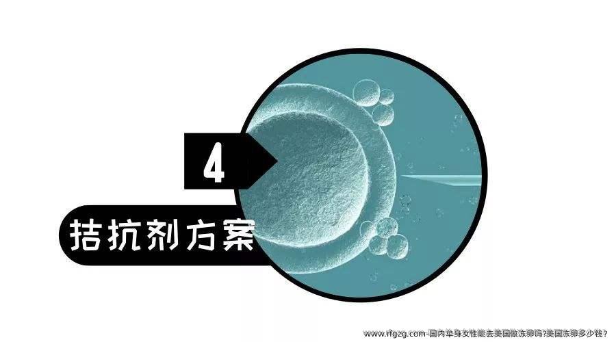国内单身女性能去美国做雪藏卵吗?美国雪藏卵多少钱？