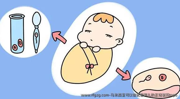 马来西亚可以做代孕的正规医院top5