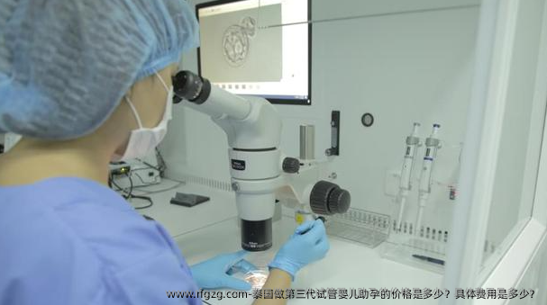 泰国做第三代代孕助孕的价格是多少？具体费用是多少？