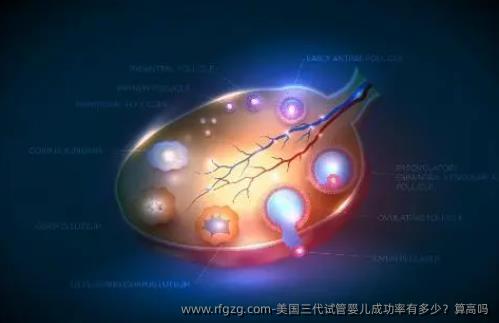美国三代代孕成功率有多少？算高吗