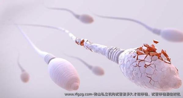 佛山私立机构试管要多久才能移植，试管移植较好时机
