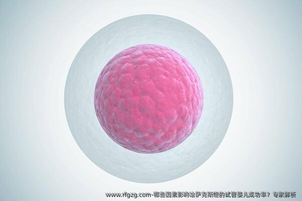 哪些因素影响哈萨克斯坦的代孕成功率？专家解析 