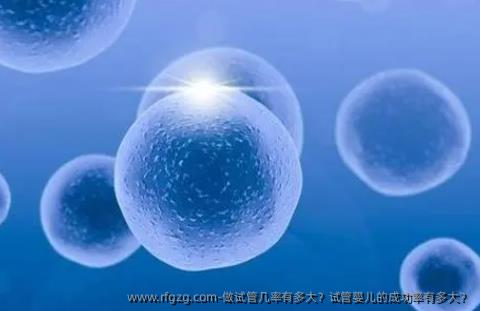 做试管几率有多大？代孕的成功率有多大？