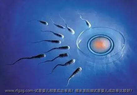 代孕那里成功率高？哪家医院做代孕成功率比较好？