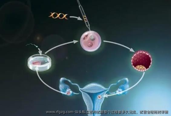 汕头私立机构试管整个过程要多久完成，试管全程耗时详解