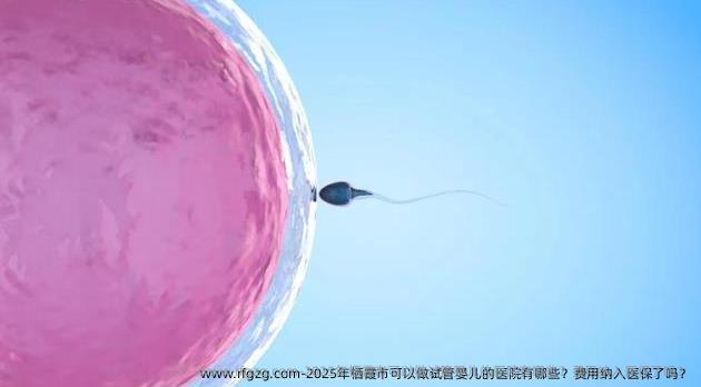2025年栖霞市可以做代孕的医院有哪些？费用纳入医保了吗？