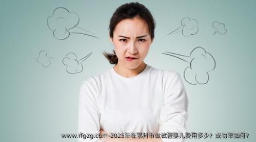 2025年在鄂州市做代孕费用多少？成功率如何？
